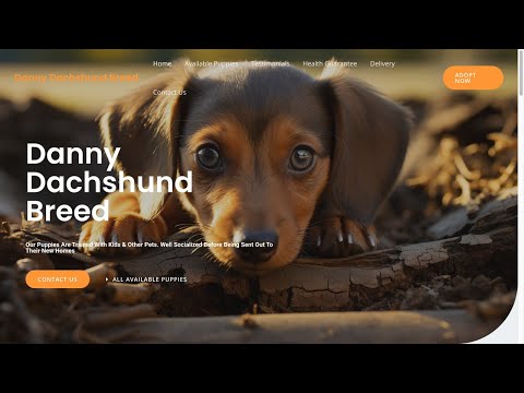 Is Dannydachshundbreed.com a scam or legit?