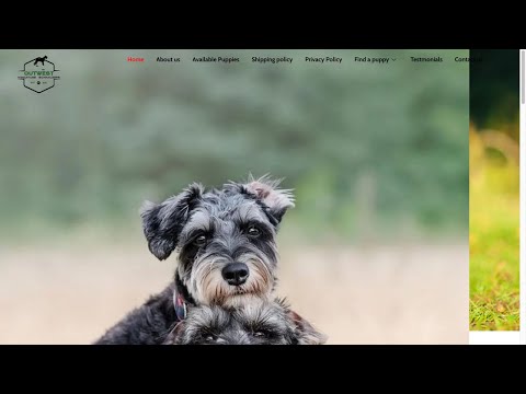 Is Outwestschnauzers.com legit or a scam?