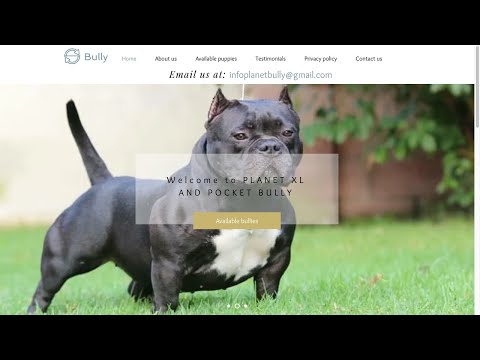 Is Planetbullypuppies.com a scam or legit?