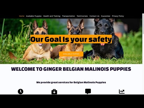 Is Gingermalinois.com legit or a scam?