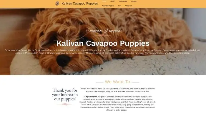 Kalivancavapoopuppies