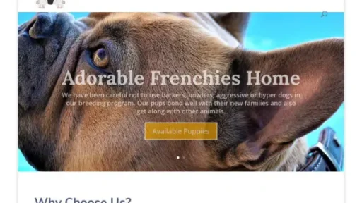 Adorablefrenchiepuppieshome-com