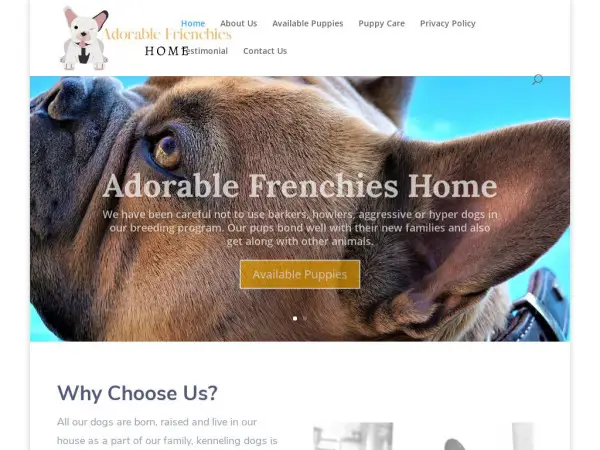 Adorablefrenchiepuppieshome-com