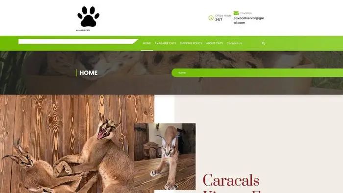 Caracal-serval-cats.com