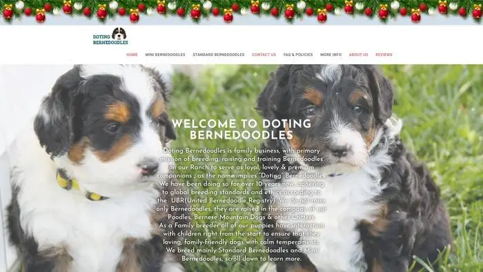 Dotingbernedoodles.com Christmas Pet Scams