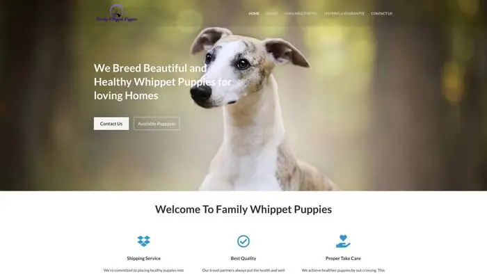 Familywhippetpuppies.com