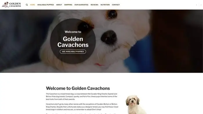 Goldencavachons.com