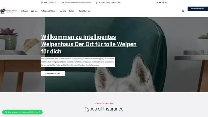 Intelligenteswelpenhaus.com