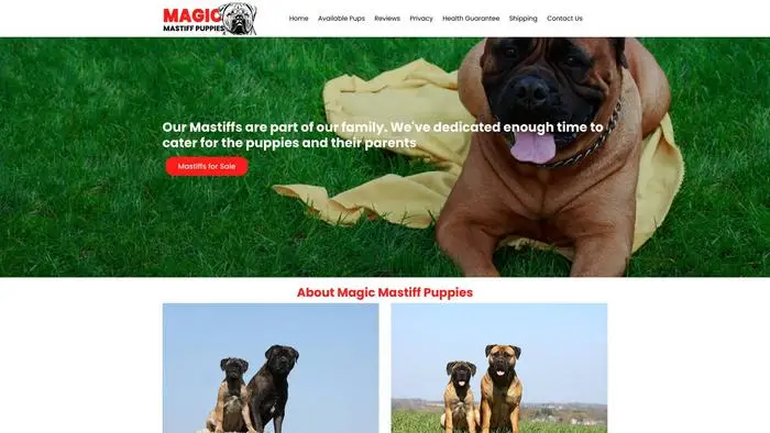 Magicmastiffpuppies.com