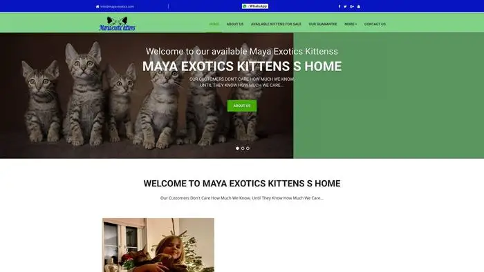 Maya-exotics.com