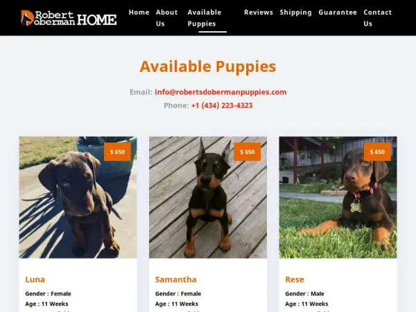 Robertsdobermanpuppies
