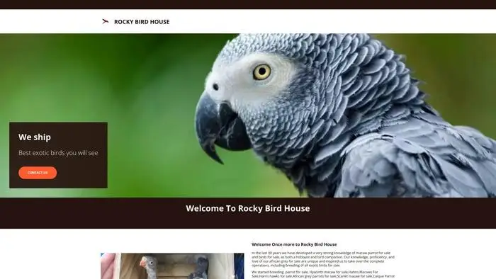 Rockybirdhouse.com