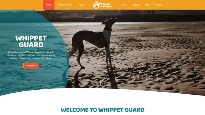 Whippetguard.com