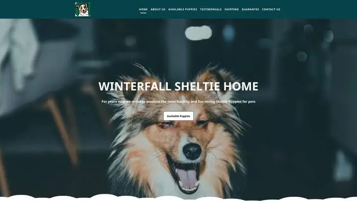 Winterfallsheltiehome.com