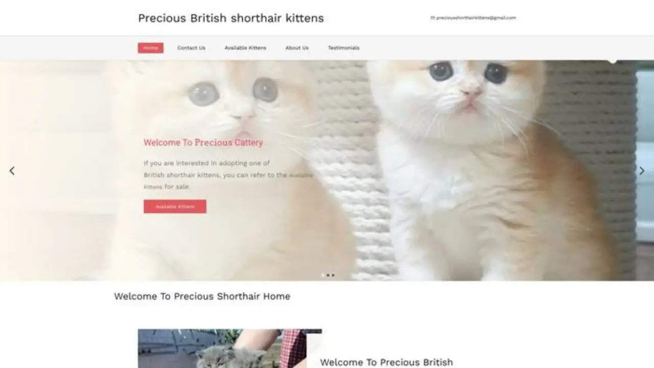 Britishshorthaircats