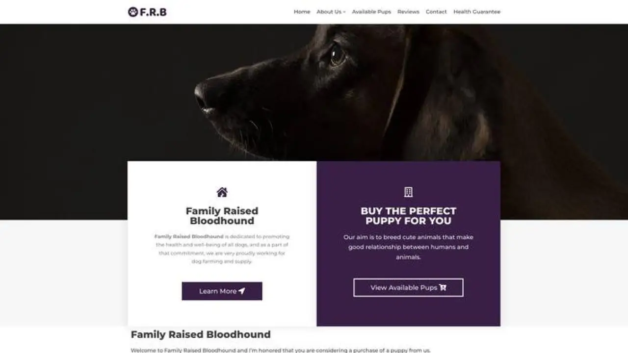 Familyraisedbloodhound
