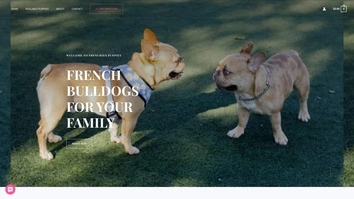 Frenchiespuppiesplace