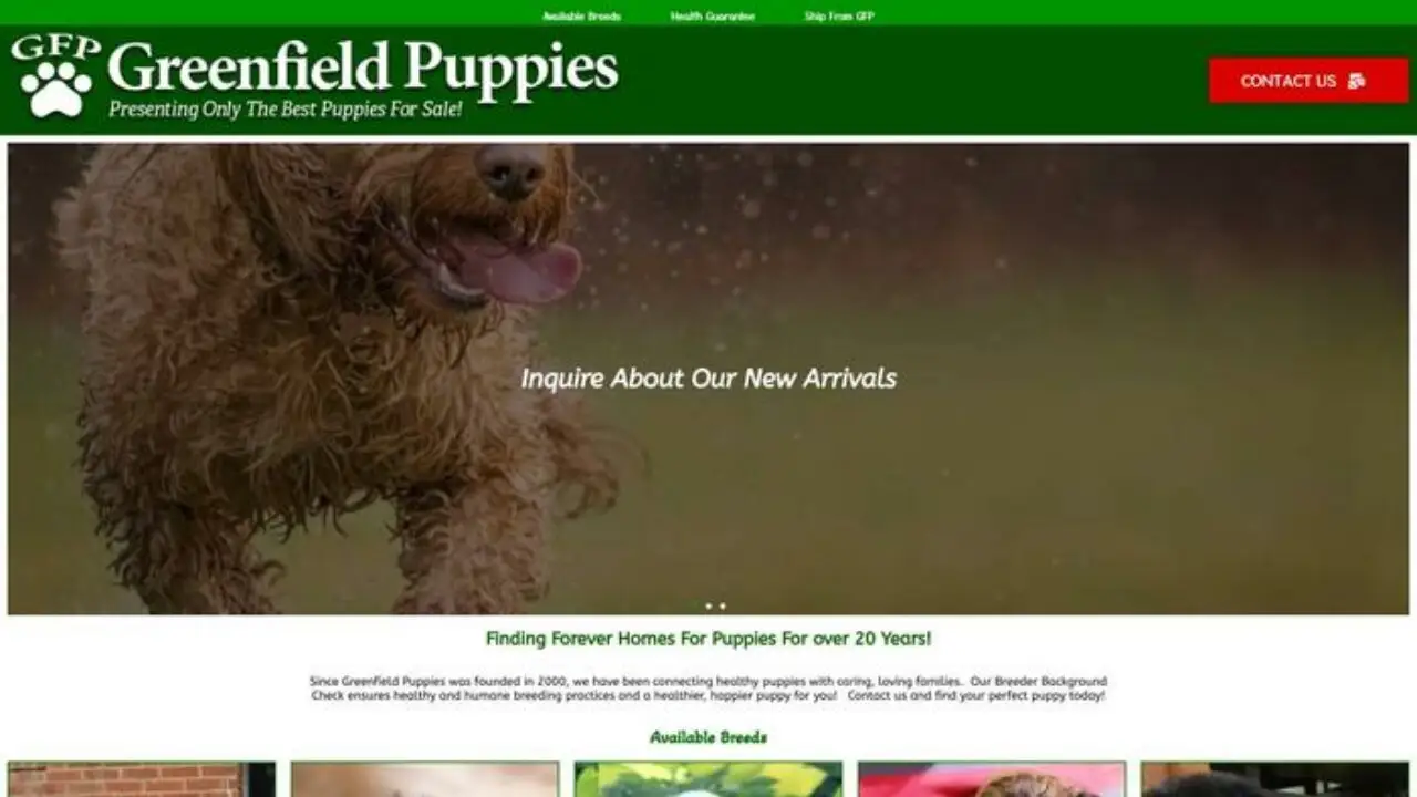 Greenfield-puppies-dog-breeders