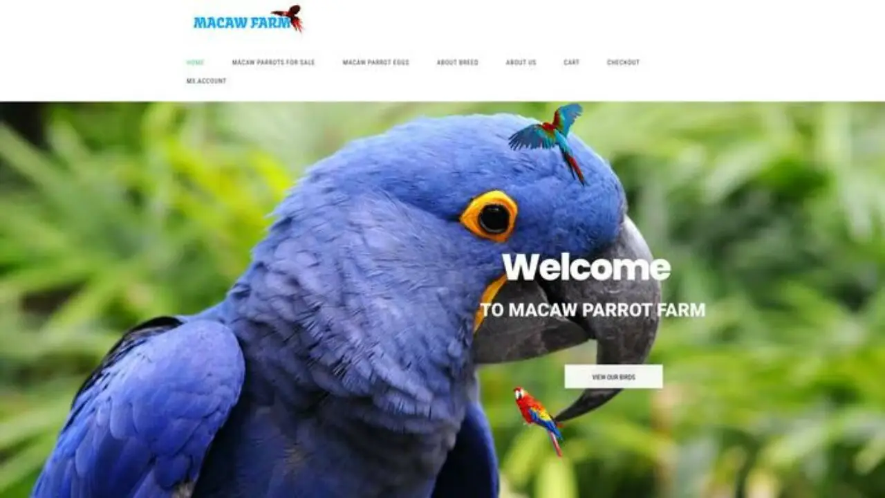 Macawsfarm