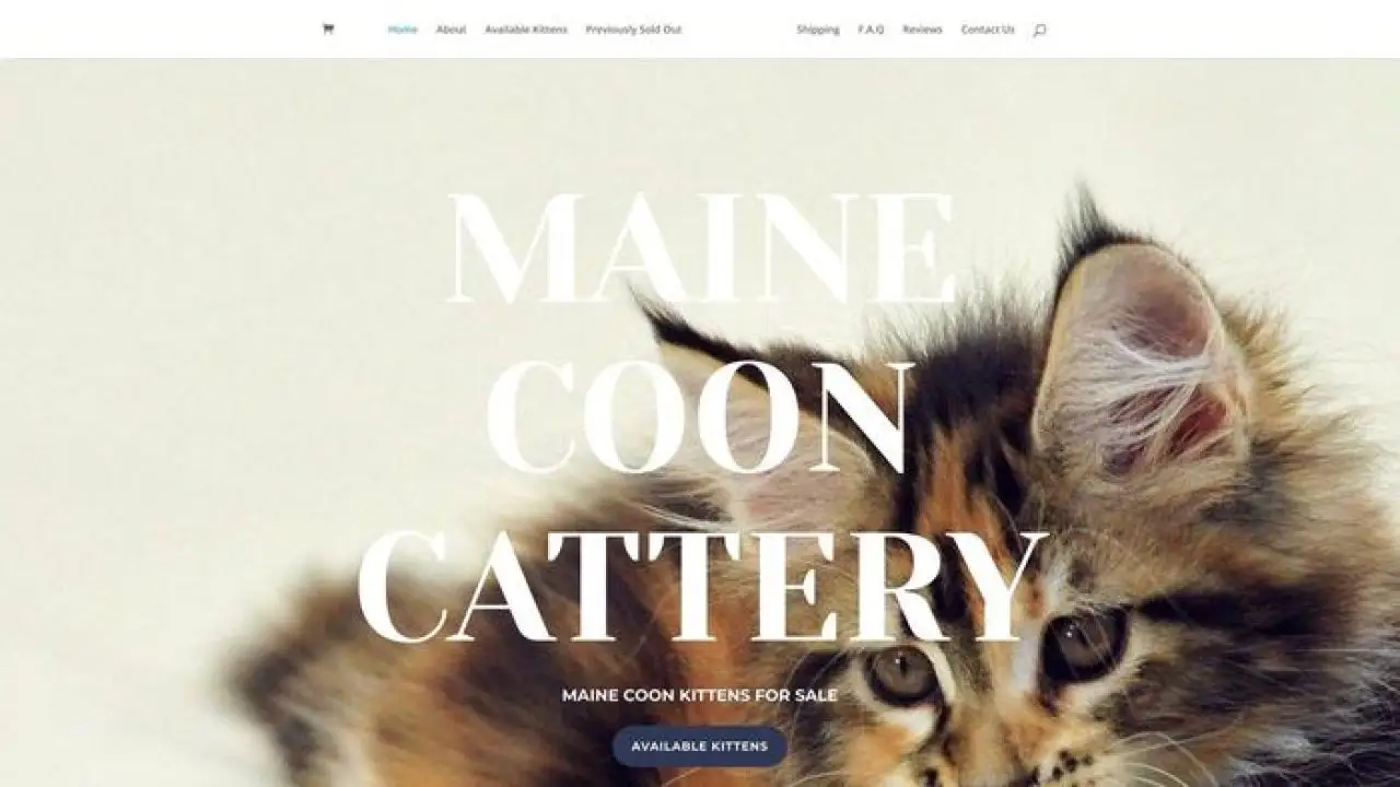 Mainecoon-cattery