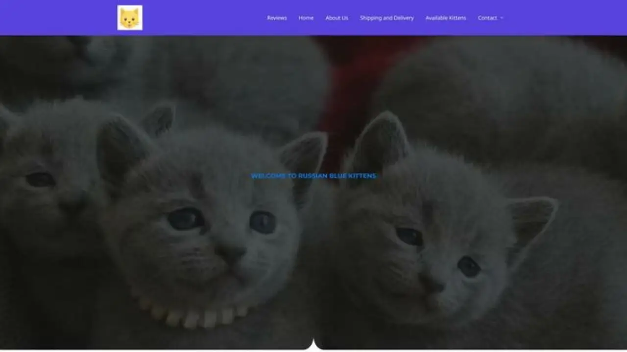 Russianblue-kittens