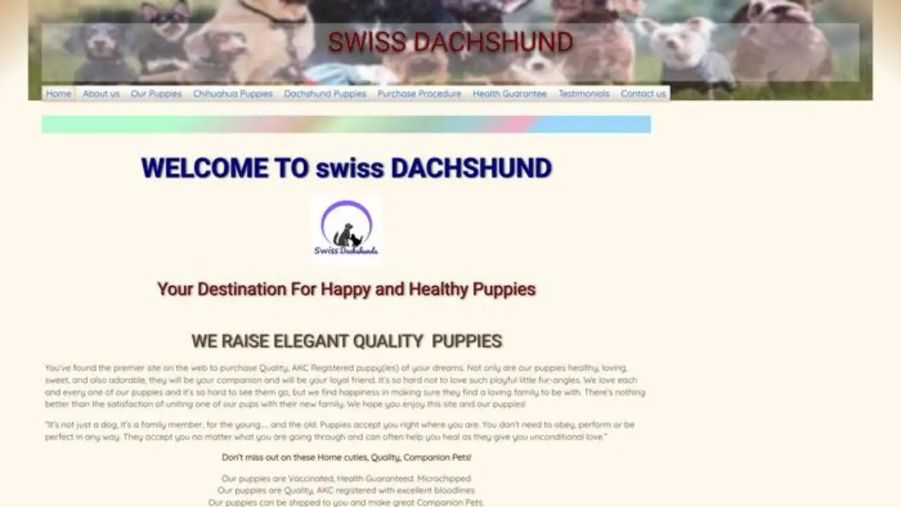 Swissdachshund