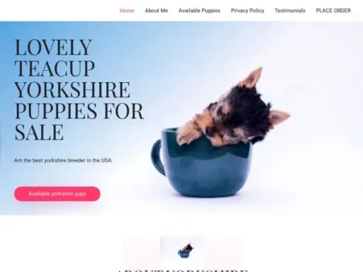 Adorableyorkshirepups