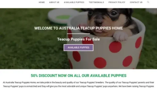 Australiateacuppuppies