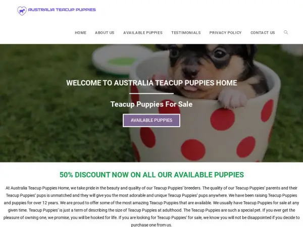 Australiateacuppuppies