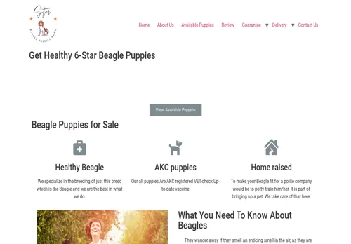 is 6star-beagles.com legit? screenshot