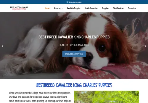 is bestbreedcavalierkingcharlespuppies.com legit? screenshot