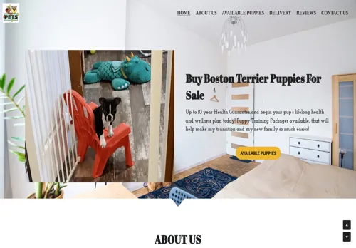 is bostonpuppy.org legit? screenshot