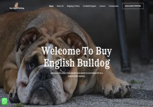is buyenglishbulldog.com legit? screenshot