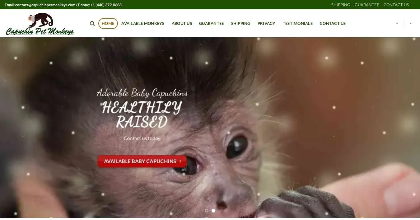 is capuchinpetmonkeys.com legit? screenshot