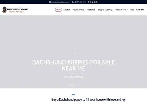 is cheappetdog.com legit? screenshot