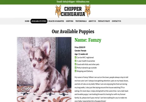 is chipper-chihuahua.com legit? screenshot