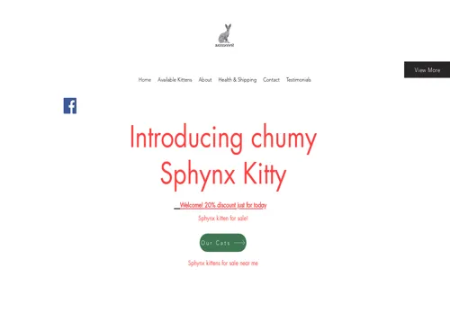 is chumysphynxkitty.com legit? screenshot