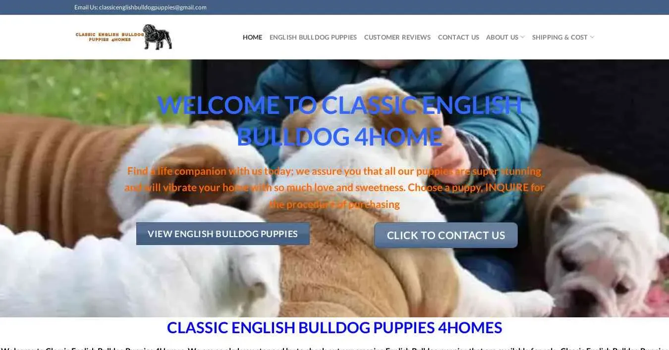 is classicenglishbulldog.com legit? screenshot
