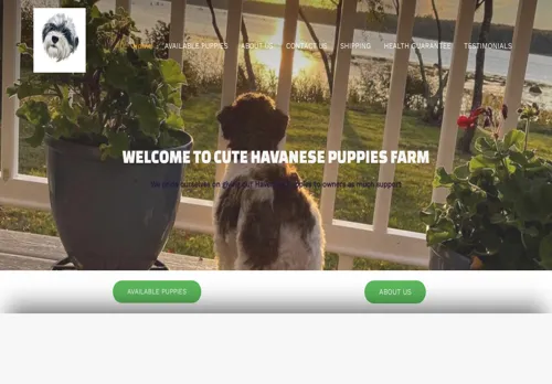is cutehavanesefarm.com legit? screenshot