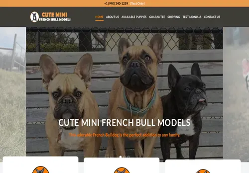 is cuteminifrenchbullmodels.com legit? screenshot