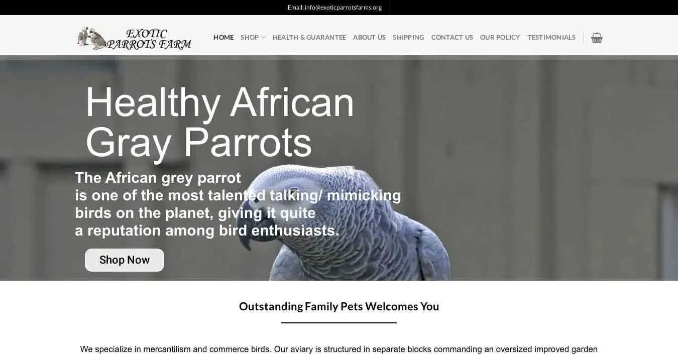 is exoticparrotsfarm.org legit? screenshot