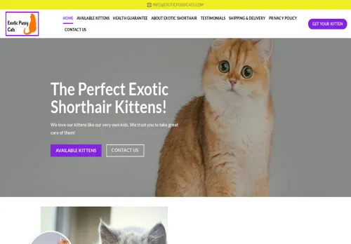 is exoticpussycats.com legit? screenshot
