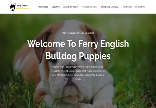 is ferryenglishbulldogpups.com legit? screenshot