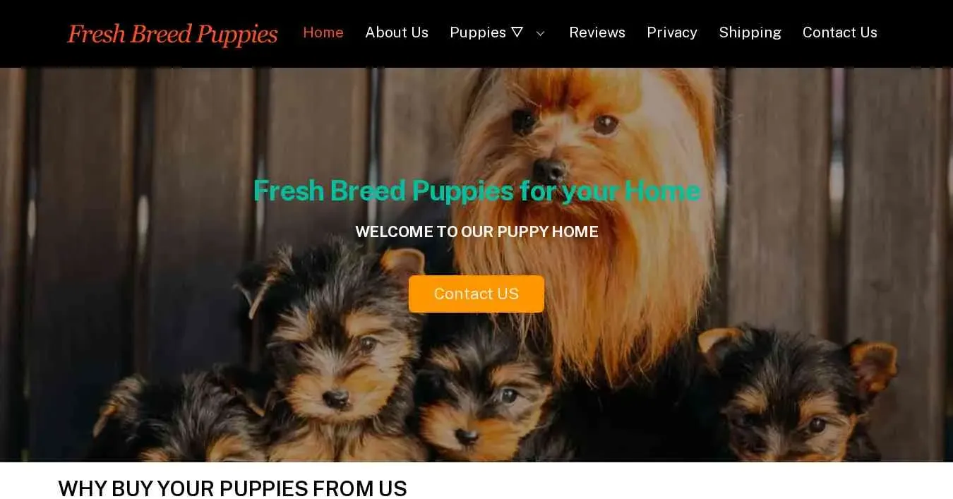 is freshbreedpuppies.com legit? screenshot