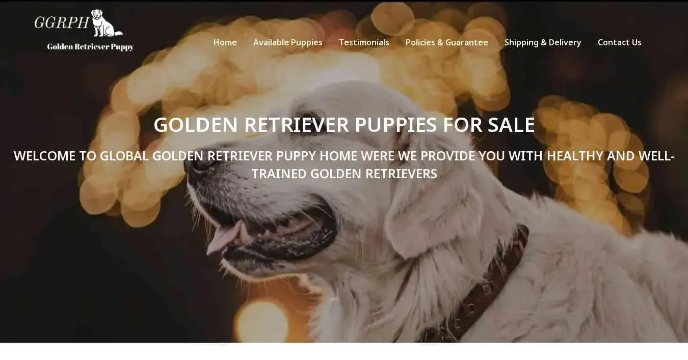 is globalgoldenretrieverpuppies.com legit? screenshot