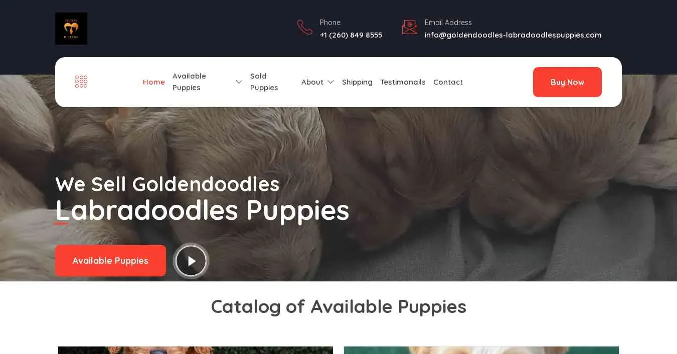is goldendoodles-labradoodlespuppies.com legit? screenshot