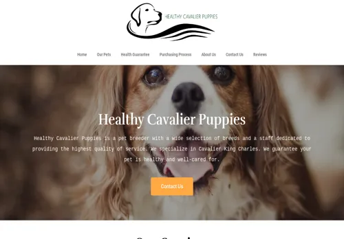 is healthycavalierpuppies.com legit? screenshot