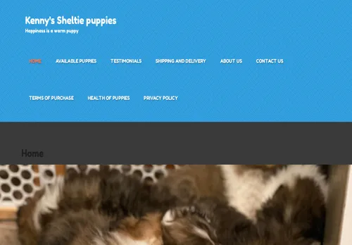 Kennys-sheltiepuppies.com
