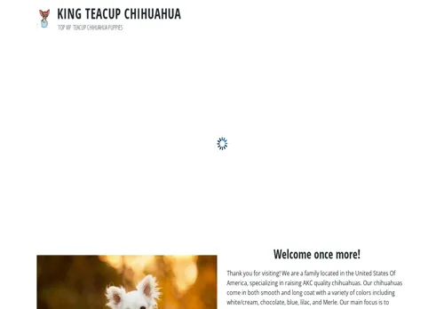 is kingteacupchihuahuahome.com legit? screenshot