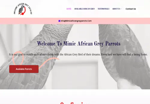 is mimicafricangreyparrots.com legit? screenshot